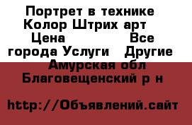 Портрет в технике “Колор-Штрих-арт“ › Цена ­ 250-350 - Все города Услуги » Другие   . Амурская обл.,Благовещенский р-н